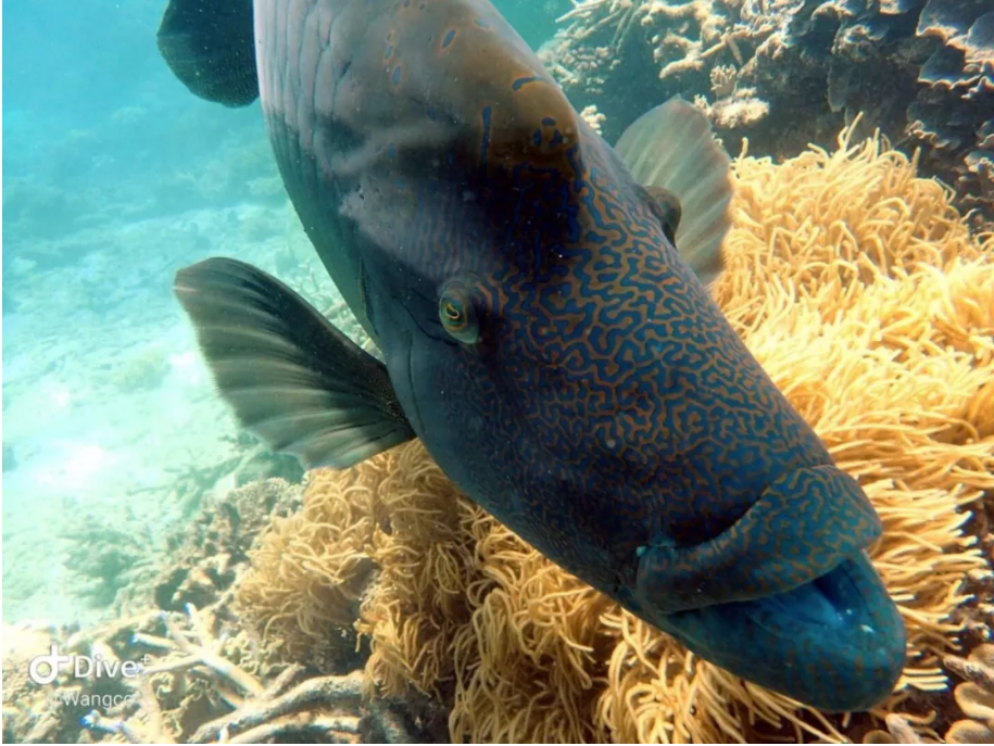 1552532999847975M4qY.jpg 1551418129(1).jpg